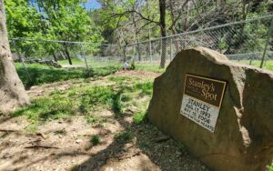 Grant sought for Deckers Creek runoff project below Stanley's Spot Dog Park